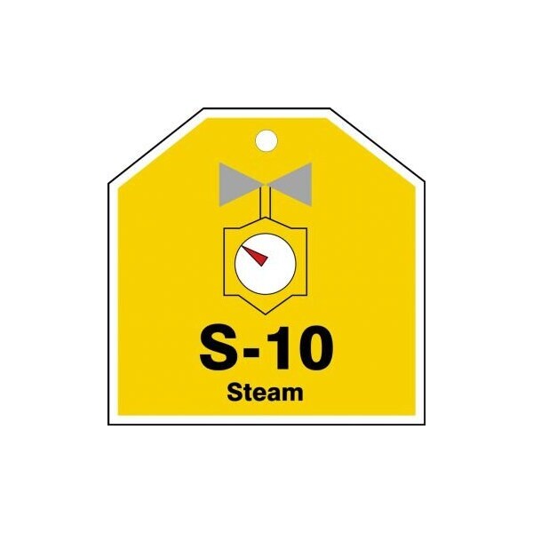 Accuform Energy Source ID Tag, S-10 STEAM, 2.5in x 2.5in, Plastic, 5PK TDJ110VPM - main